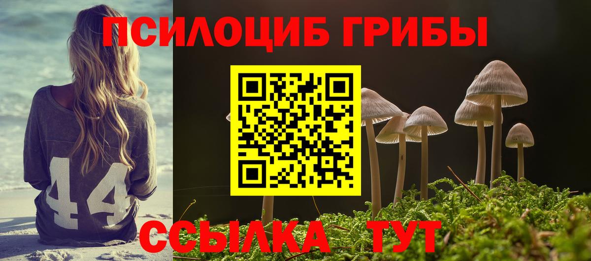 Галлюциногенные грибы прущие грибы  дарнет шоп  Кировск  Вход с VPN  Галлюциногенные грибы Cubensis 