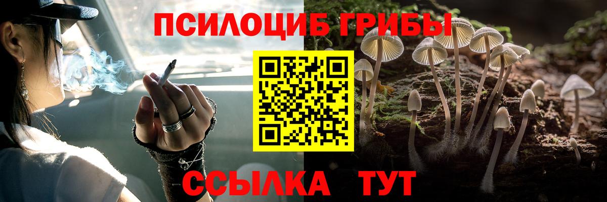 Псилоцибиновые грибы Cubensis Кировск